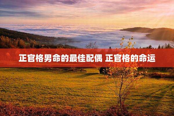 正官格男命的最佳配偶 正官格的命运