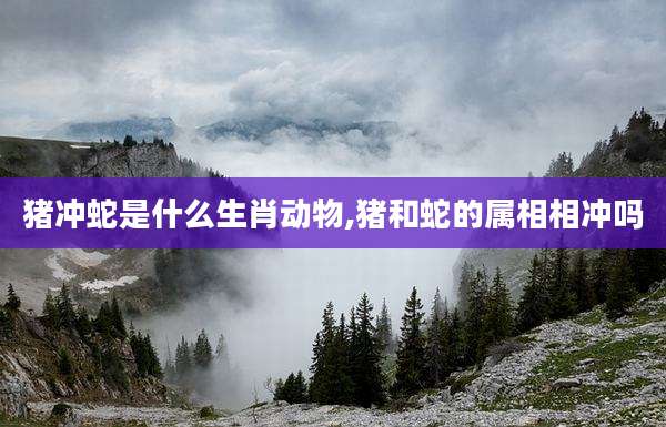 猪冲蛇是什么生肖动物,猪和蛇的属相相冲吗