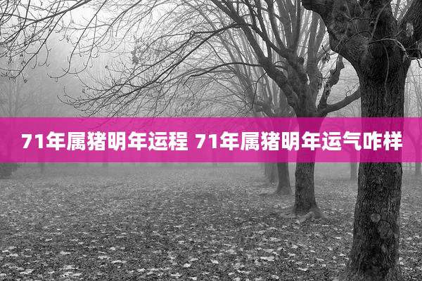 71年属猪明年运程 71年属猪明年运气咋样