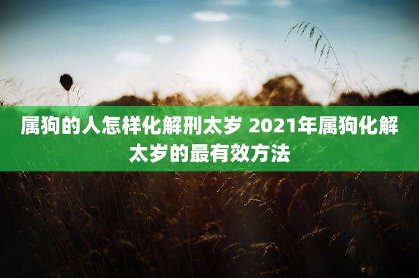 属狗的人怎样化解刑太岁 2021年属狗化解太岁的最有效方法