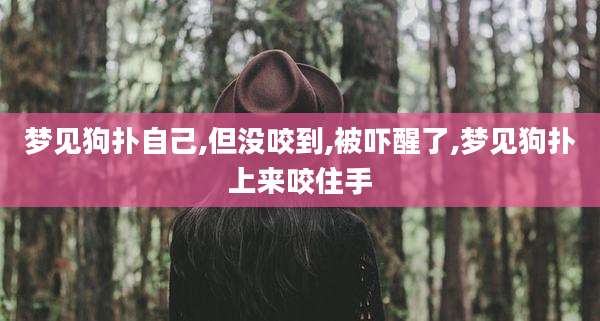 梦见狗扑自己,但没咬到,被吓醒了,梦见狗扑上来咬住手