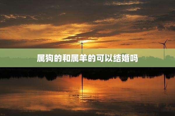属狗的和属羊的可以结婚吗