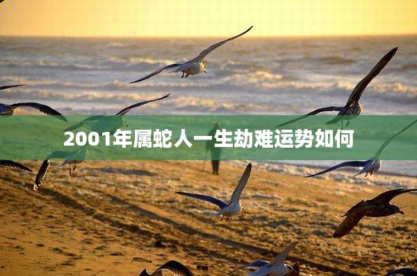 2001年属蛇人一生劫难运势如何