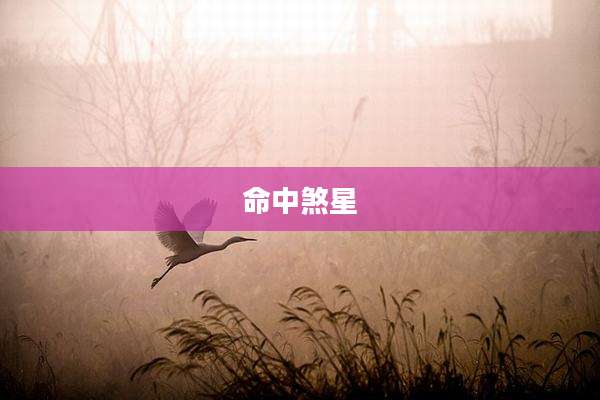 命中煞星