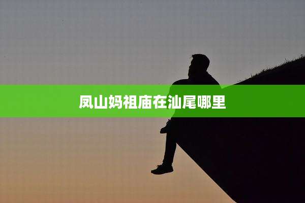 凤山妈祖庙在汕尾哪里