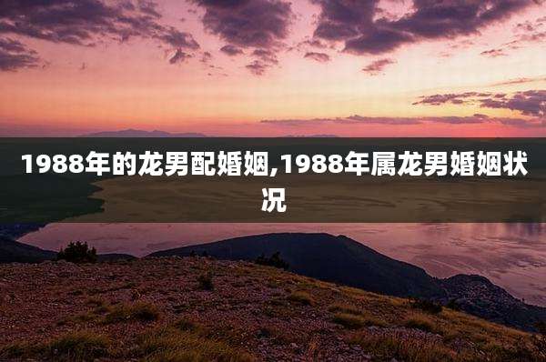 1988年的龙男配婚姻,1988年属龙男婚姻状况