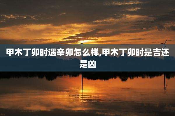 甲木丁卯时遇辛卯怎么样,甲木丁卯时是吉还是凶