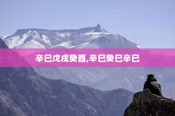 辛巳戊戌癸酉,辛巳癸巳辛巳