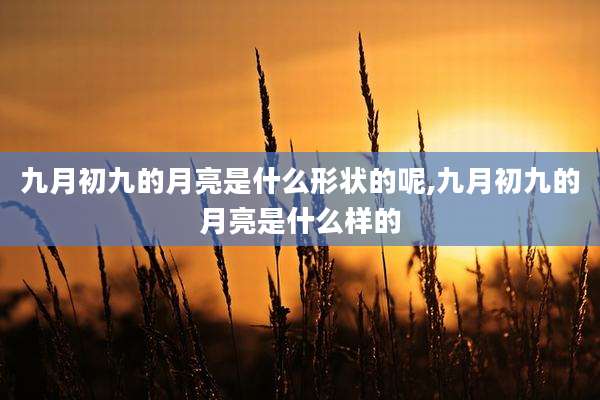 九月初九的月亮是什么形状的呢,九月初九的月亮是什么样的