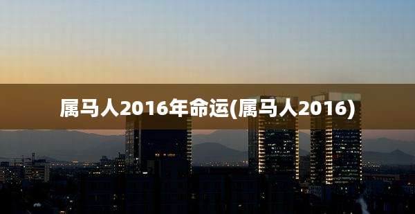 属马人2016年命运(属马人2016)