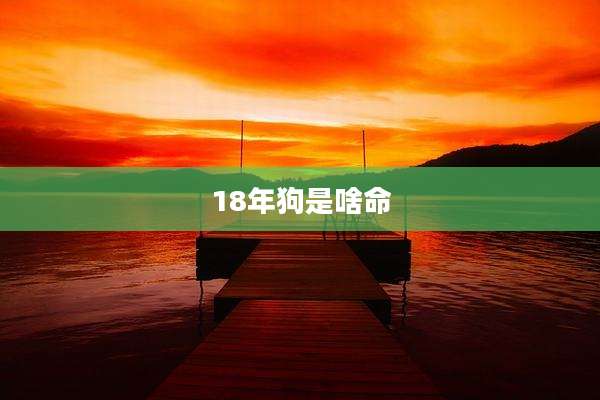 18年狗是啥命