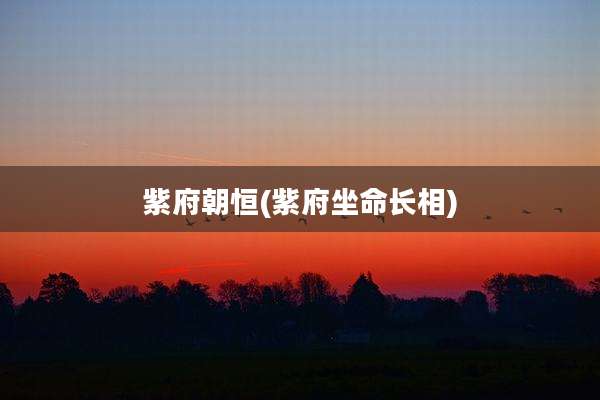 紫府朝恒(紫府坐命长相)