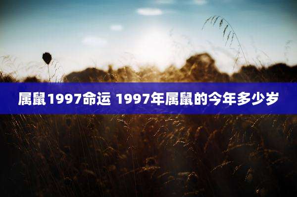 属鼠1997命运 1997年属鼠的今年多少岁