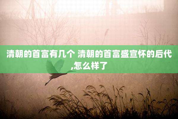 清朝的首富有几个 清朝的首富盛宣怀的后代,怎么样了