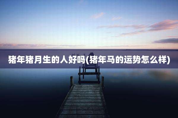 猪年猪月生的人好吗(猪年马的运势怎么样)