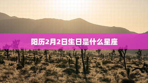 阳历2月2日生日是什么星座