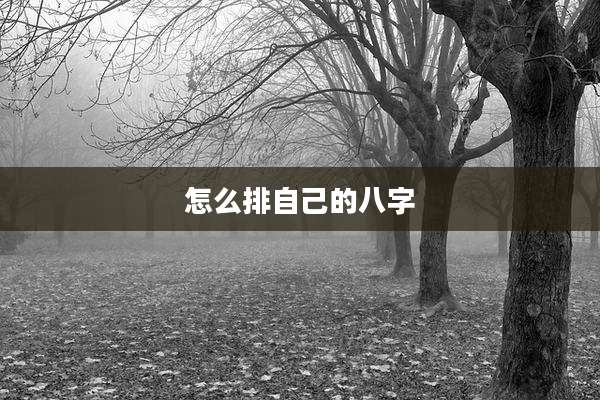 怎么排自己的八字