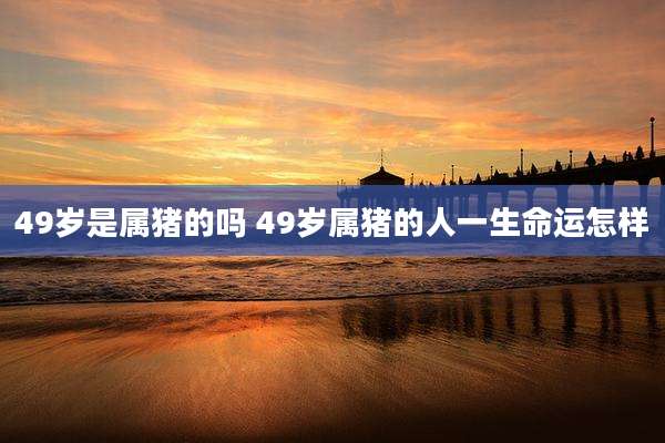 49岁是属猪的吗 49岁属猪的人一生命运怎样