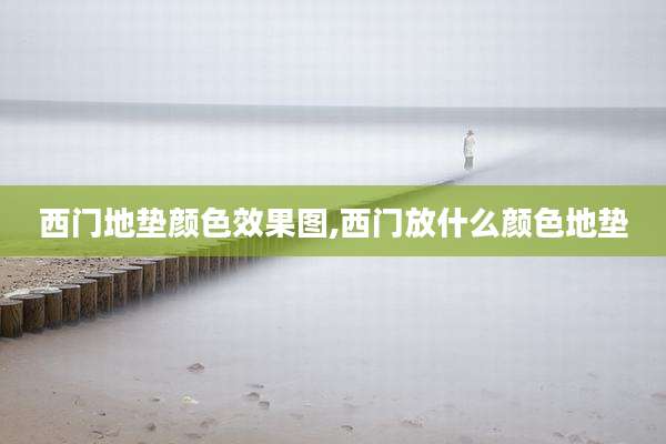 西门地垫颜色效果图,西门放什么颜色地垫