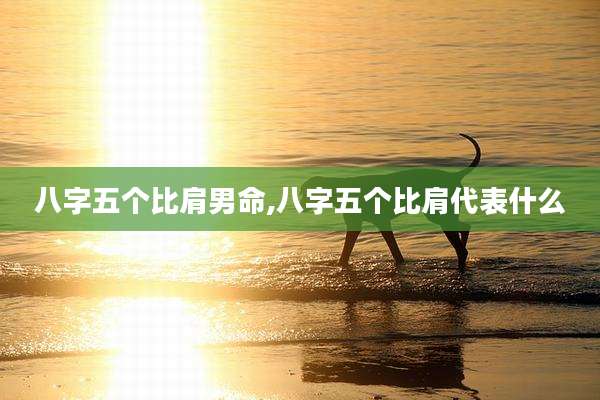 八字五个比肩男命,八字五个比肩代表什么