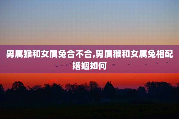 男属猴和女属兔合不合,男属猴和女属兔相配婚姻如何