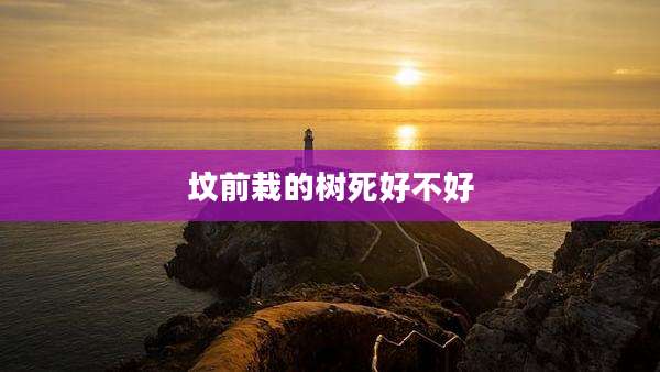 坟前栽的树死好不好
