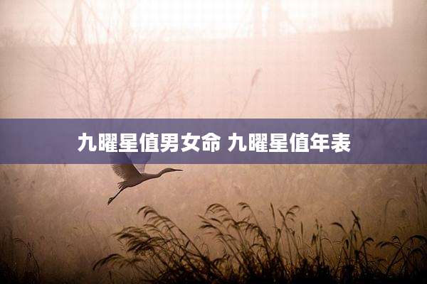 九曜星值男女命 九曜星值年表
