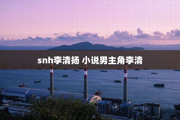 snh李清扬 小说男主角李清