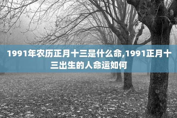 1991年农历正月十三是什么命,1991正月十三出生的人命运如何