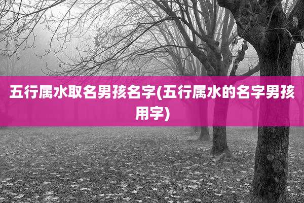 五行属水取名男孩名字(五行属水的名字男孩用字)