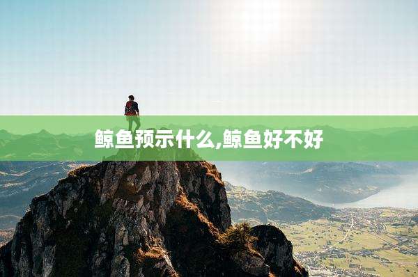 鲸鱼预示什么,鲸鱼好不好