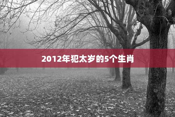 2012年犯太岁的5个生肖