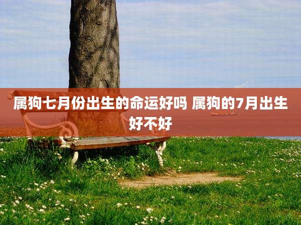属狗七月份出生的命运好吗 属狗的7月出生好不好