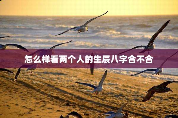 怎么样看两个人的生辰八字合不合