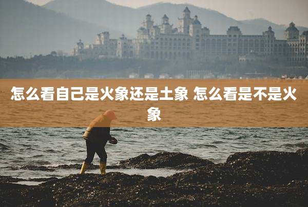 怎么看自己是火象还是土象 怎么看是不是火象