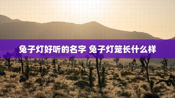 兔子灯好听的名字 兔子灯笼长什么样