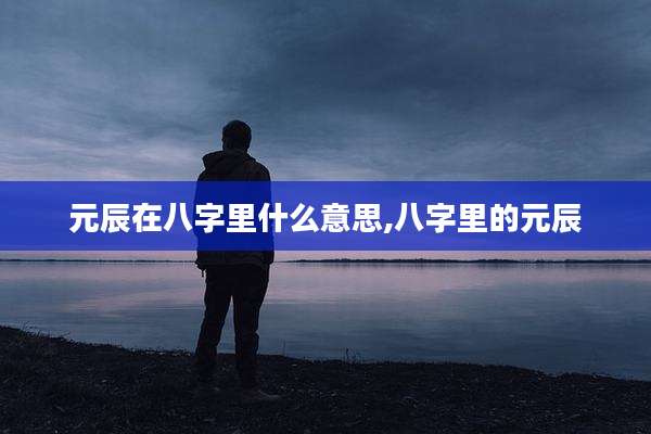元辰在八字里什么意思,八字里的元辰