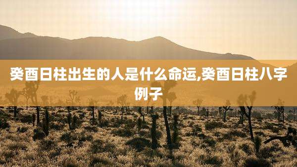 癸酉日柱出生的人是什么命运,癸酉日柱八字例子