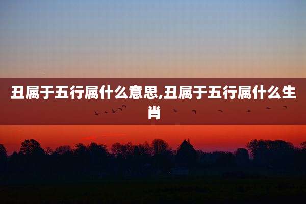 丑属于五行属什么意思,丑属于五行属什么生肖
