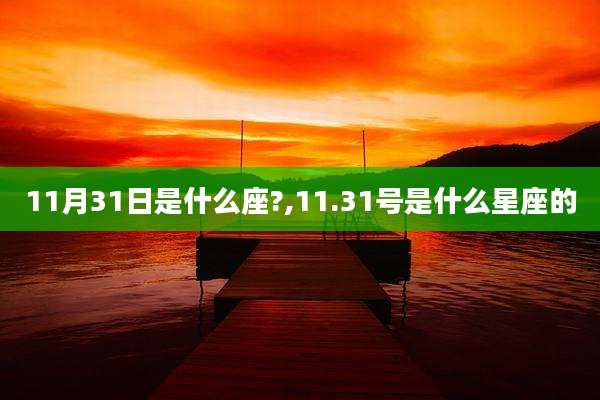 11月31日是什么座?,11.31号是什么星座的