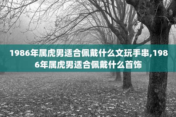 1986年属虎男适合佩戴什么文玩手串,1986年属虎男适合佩戴什么首饰