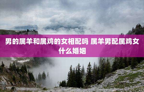 男的属羊和属鸡的女相配吗 属羊男配属鸡女什么婚姻
