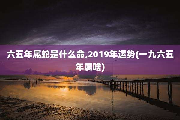六五年属蛇是什么命,2019年运势(一九六五年属啥)
