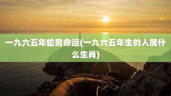 一九六五年蛇男命运(一九六五年生的人属什么生肖)