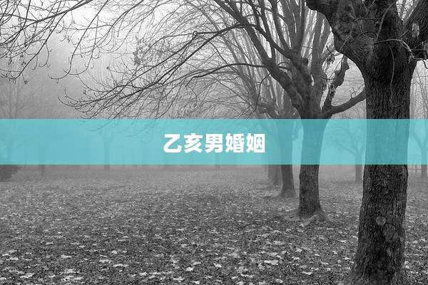 乙亥男婚姻