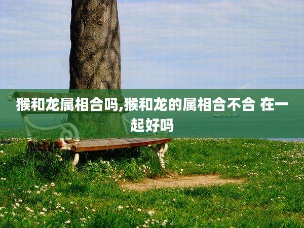 猴和龙属相合吗,猴和龙的属相合不合 在一起好吗