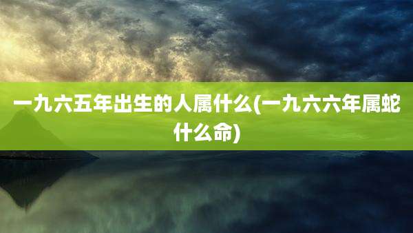 一九六五年出生的人属什么(一九六六年属蛇什么命)