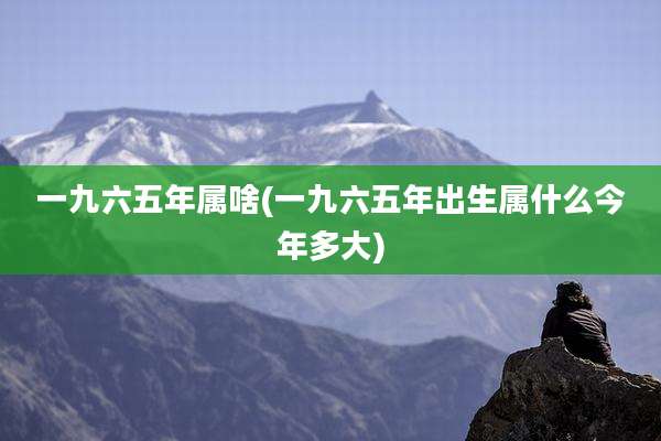 一九六五年属啥(一九六五年出生属什么今年多大)