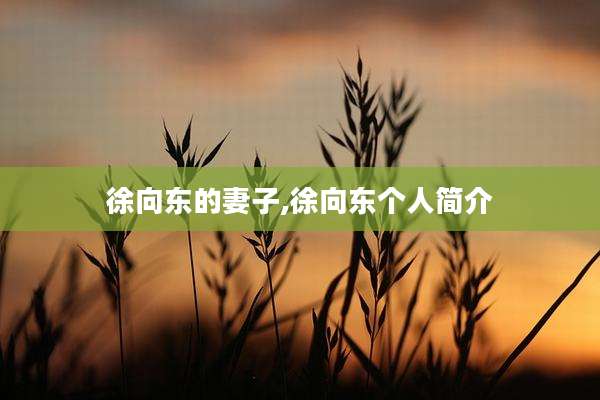 徐向东的妻子,徐向东个人简介