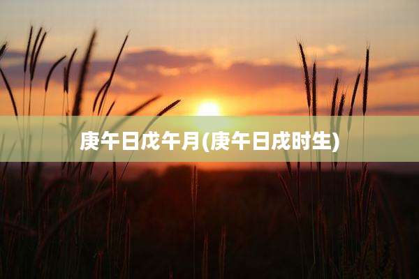庚午日戊午月(庚午日戌时生)
